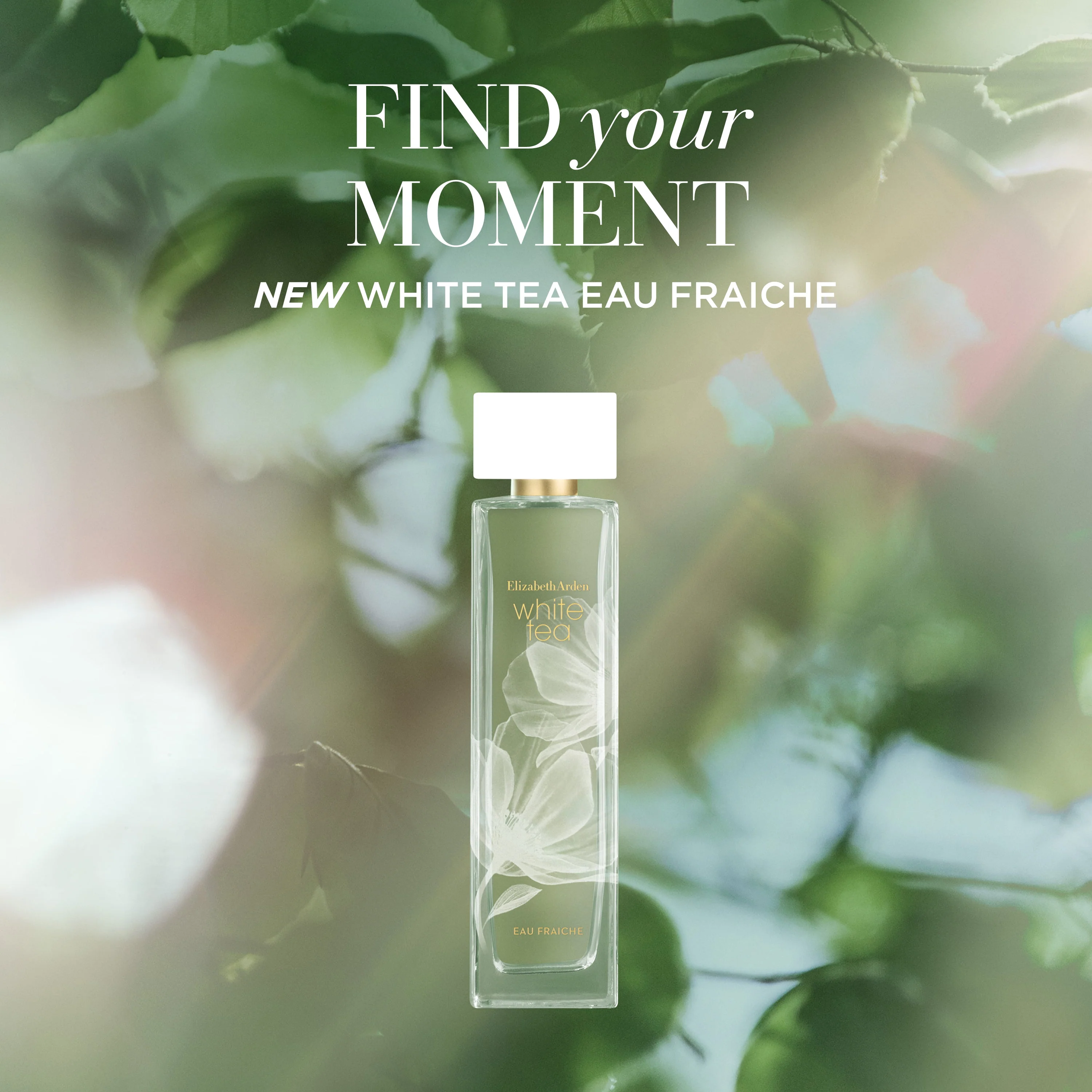 Elizabeth Arden White Tea Eau Fraiche EDT 100ml - Image 2