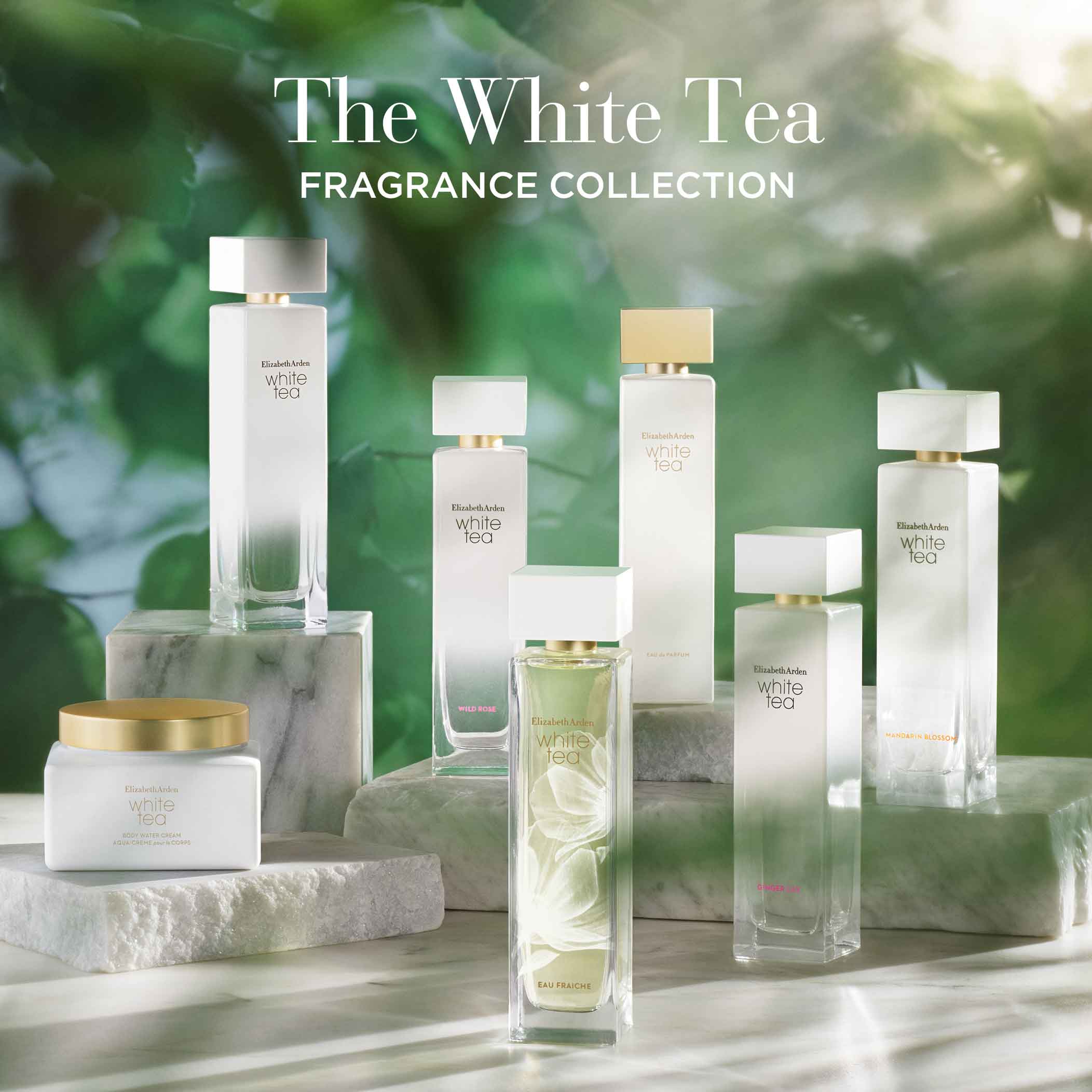 Elizabeth Arden White Tea Eau Fraiche EDT 100ml - Image 6