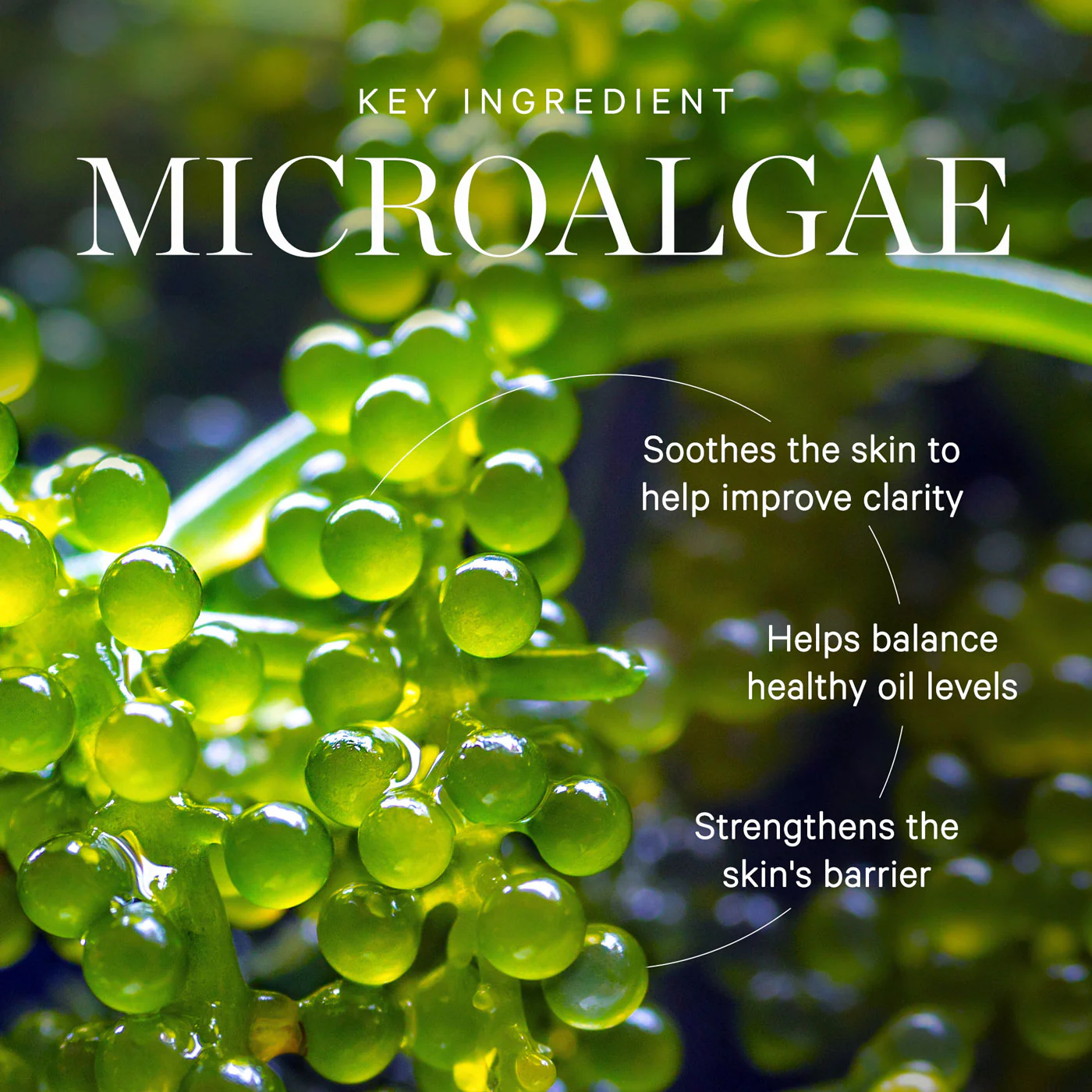 KORA Organics Active Algae Minty Mist 100mL - Image 9