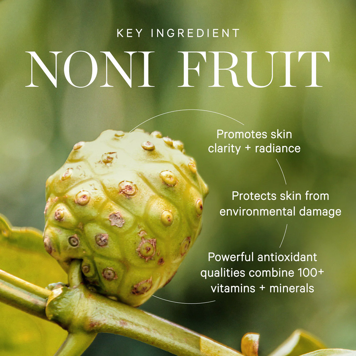KORA Organics Noni Radiant Eye Oil 10ml - Image 10