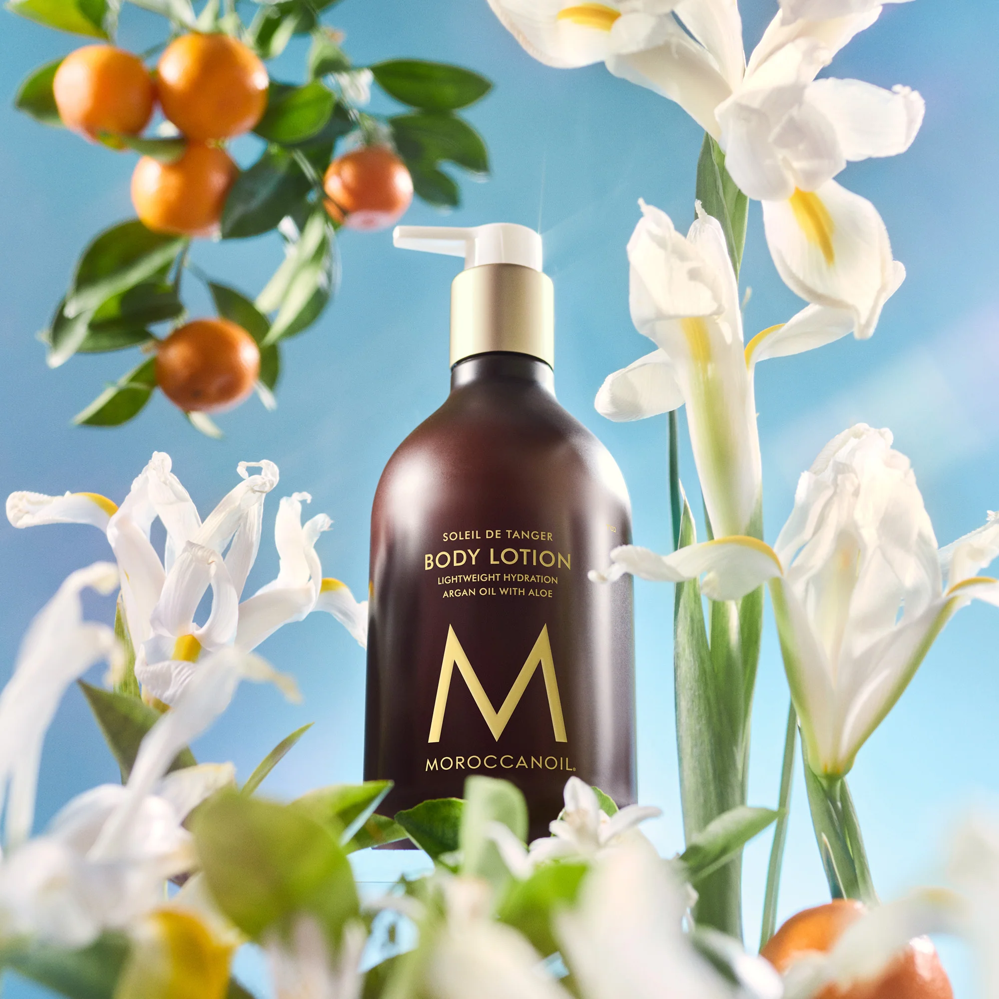 Moroccanoil Body Lotion Soleil De Tanger 360ml - Image 4