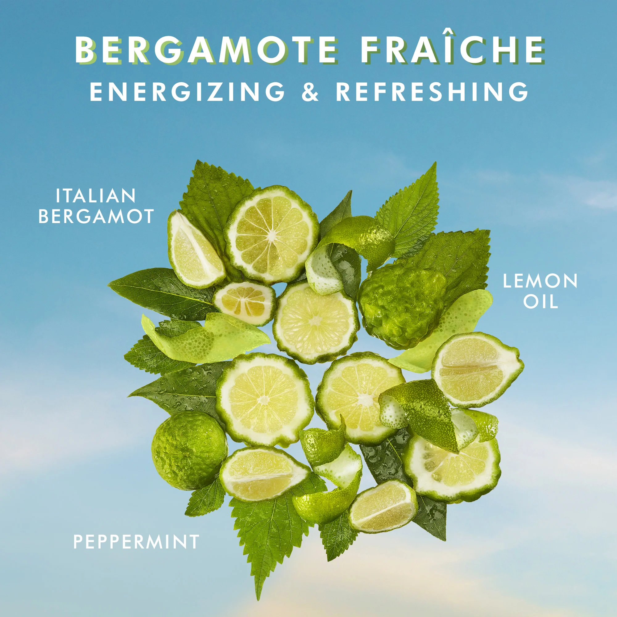 Moroccanoil Hand Cream Bergamote Fraiche 100ml - Image 3