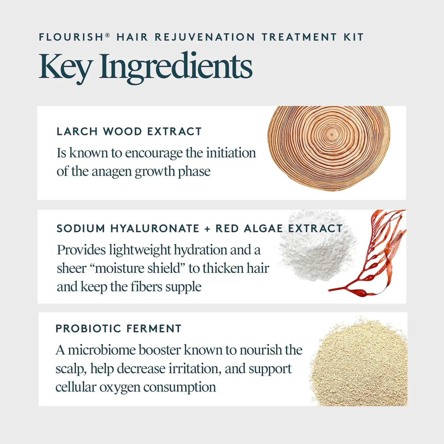 Virtue Flourish Hair Rejuvenation Treatment Kit (Phyto-Follicle Nutrient) - Full Size (90 day) - Image 9