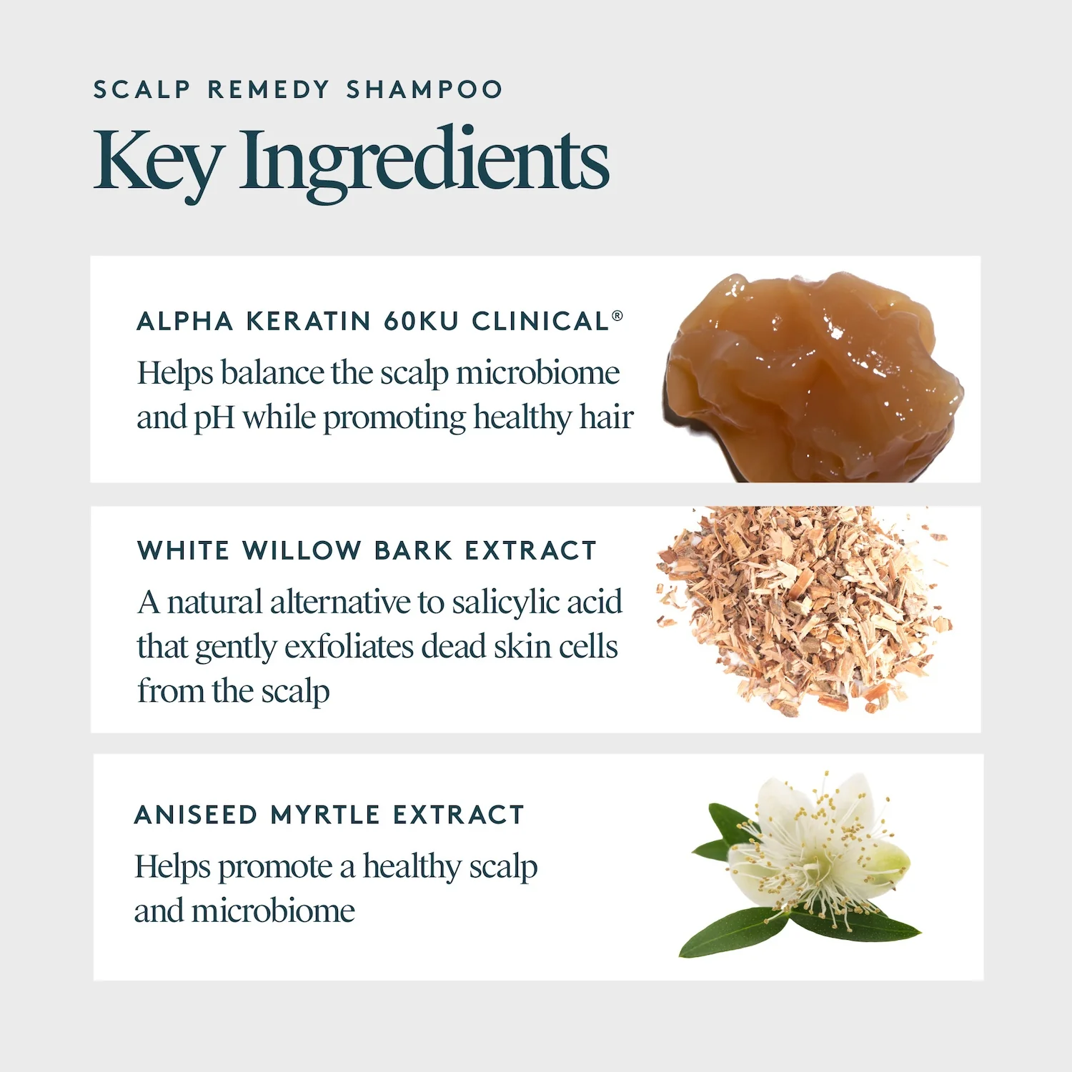 Virtue Scalp Remedy Shampoo 240ml - Image 9